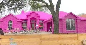 pinkhouse 300x157 1