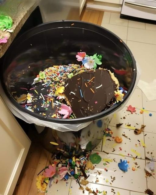 My DIL Threw Away the Birthday Cake I Made for My Granddaughter — My Son’s Reaction Shocked Me Even More