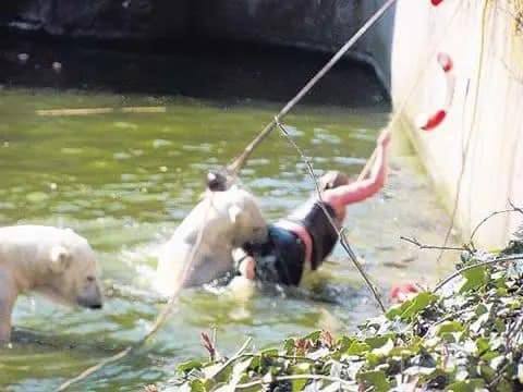 A 32-year-old woman was attacked by a polar bear after she jumped into their enclosure at the Berlin Zoo.