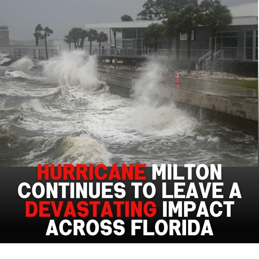 Hurricane Milton latest: ‘Everything in its path is gone’ – fatalities reported as daylight reveals Florida devastation.