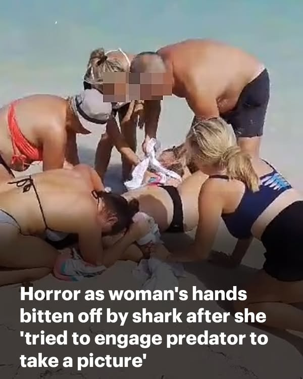 Horror as female tourist’s hands are bitten off by shark yards from Caribbean beach after she ‘tried to engage the 6ft predator to take a picture’