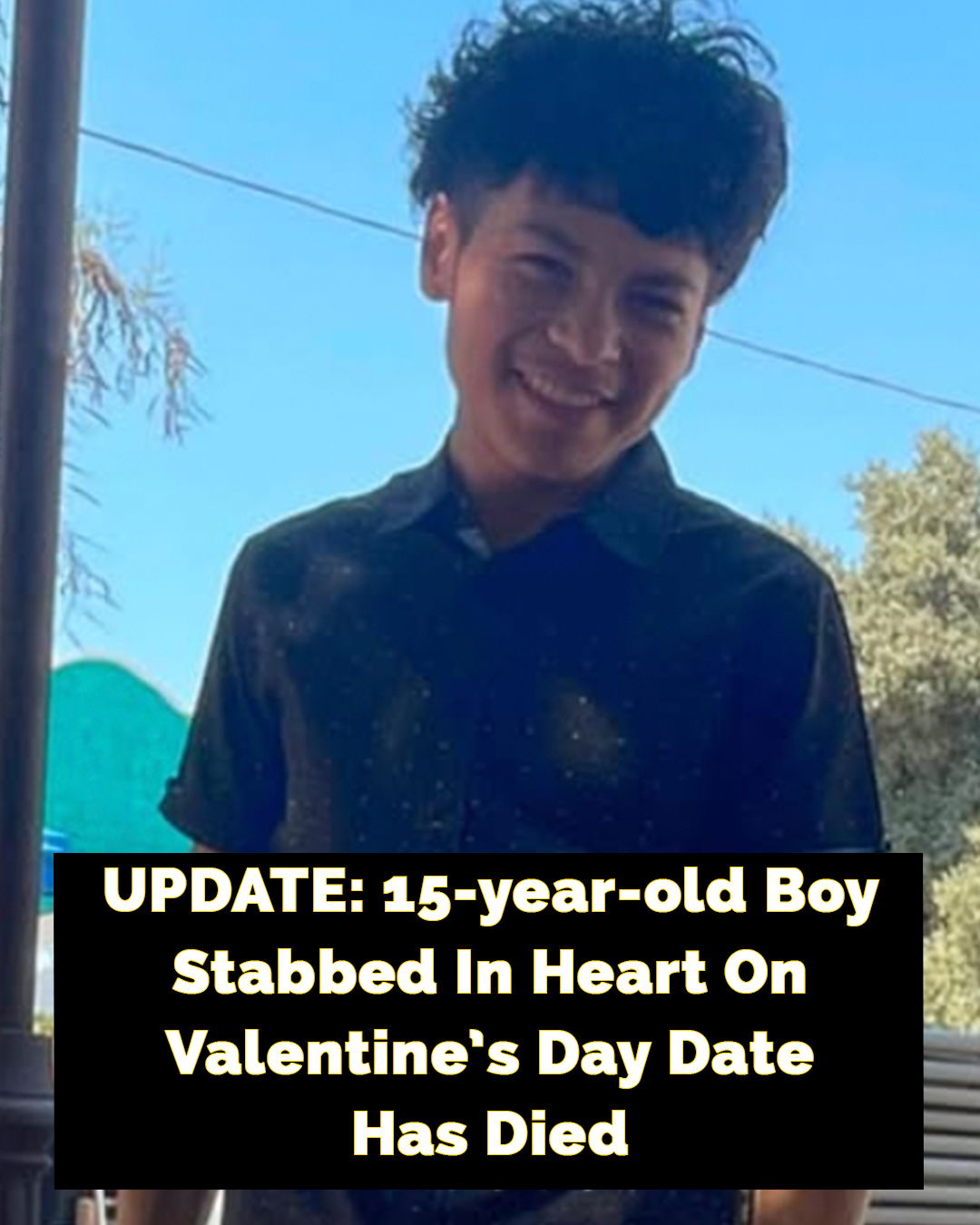 California boy fatally stabbed in heart on Valentines Day date