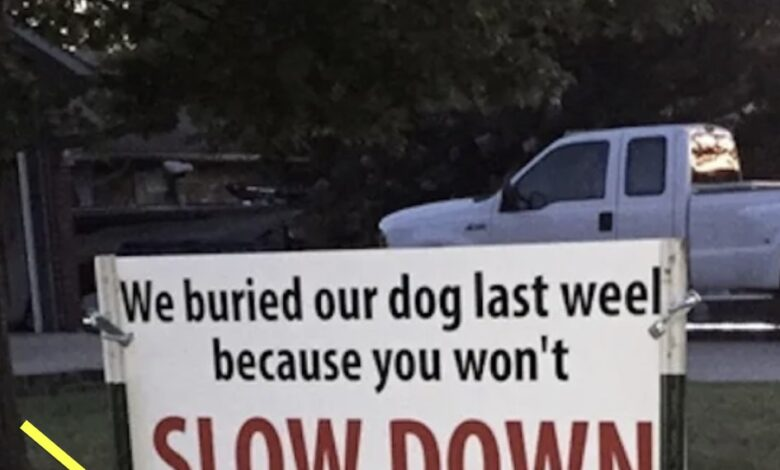 After Dog Gets Hit By Car, Sign Has The Entire Neighborhood Talking